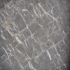 Grey Spider
