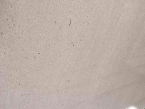 Light Cinderella grey