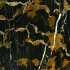 Black gold flower