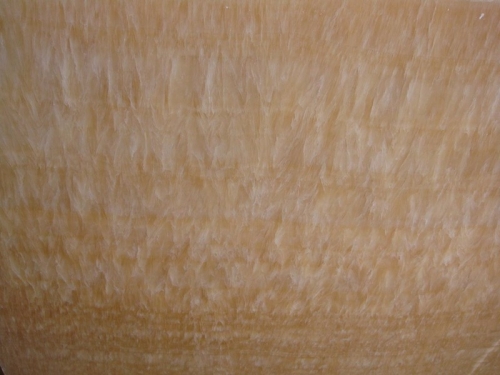 Coloprhony onyx