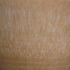 Coloprhony onyx