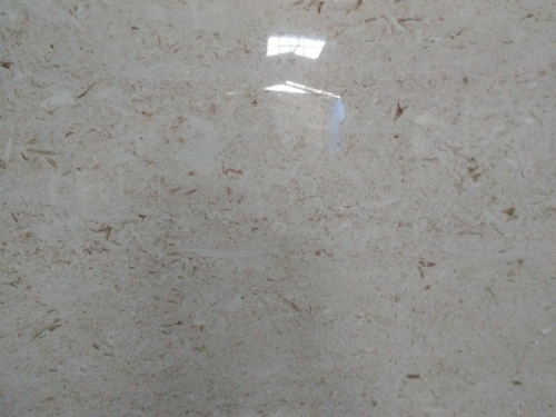 Moon Beige